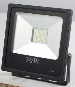 LED Floodlight 30W