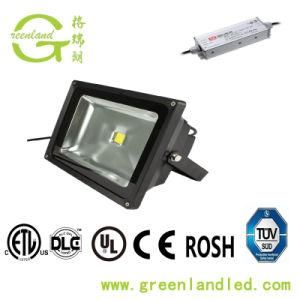 Die Cast Aluminum Housing Custom Made 30W LED Outdoor Flood Light