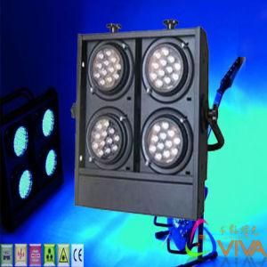 LED Wall Wash/LED 48X3w 4-Blinder Wall Wash Light (QC-LW003)