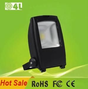 50W LED Flood Light