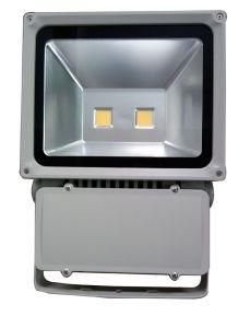 LED Outdoor Flood Light 100W