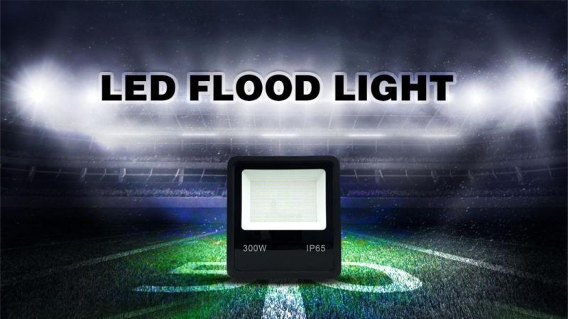 High Power SMD 20W 30W 50W 70W 100W Ce RoHS LVD Outdoor LED Flood Light with Black Housing