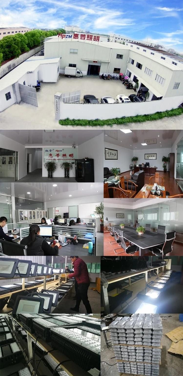 High Efficiency Professional Lighting Manufacturer LED Flood Light