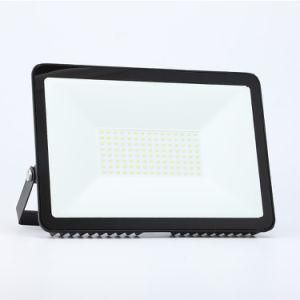 Stadium LED Flood Light