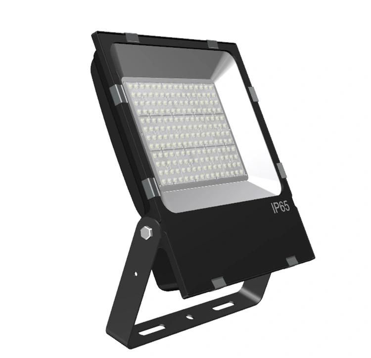 Die-Casting Aluminum 5year Warranty 30W 50W 80W IP66 LED Floodlight