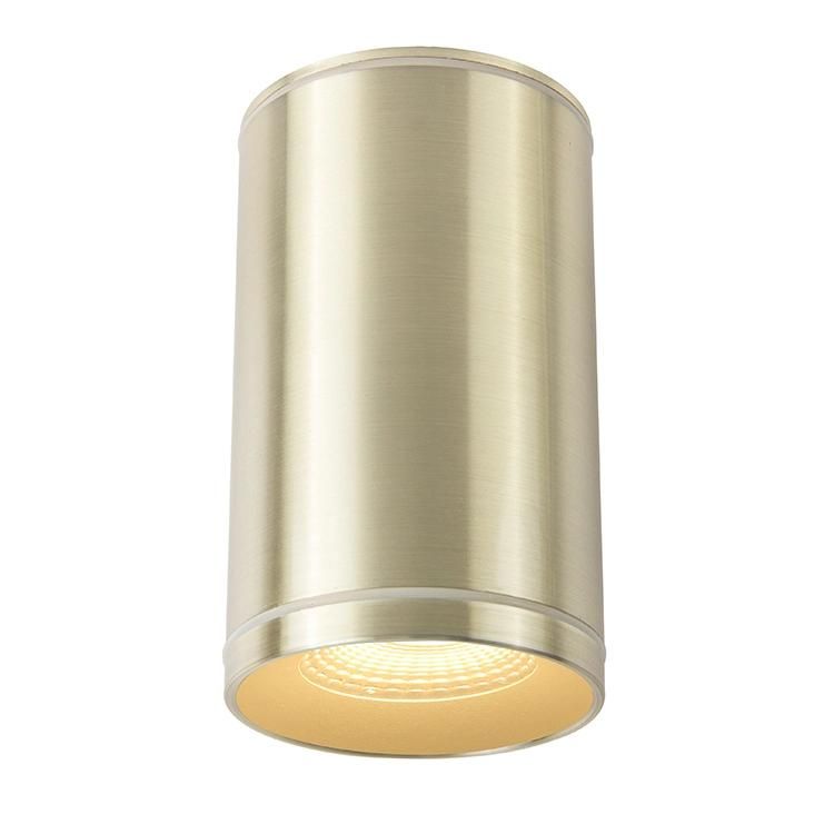 2020 New Product Outdoor Luminaire LED Garden Wall Ceiling Light with GU10/MR16 LED Bulb