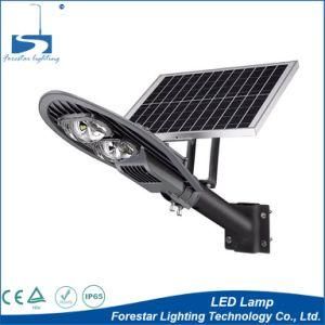 Warm Lighting LED Solar Street Light with 24 Hours Timer Switch