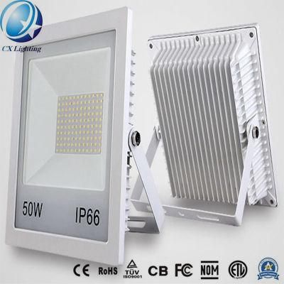 Faner CB Bis High Lumens IP66 100W LED Flood Light