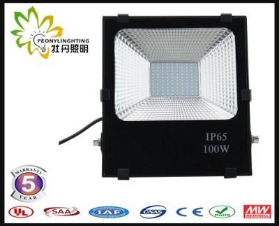 Good Quality with 5 Years Warranty 100W SMD LED Floodlights, 100W LED Floodlight