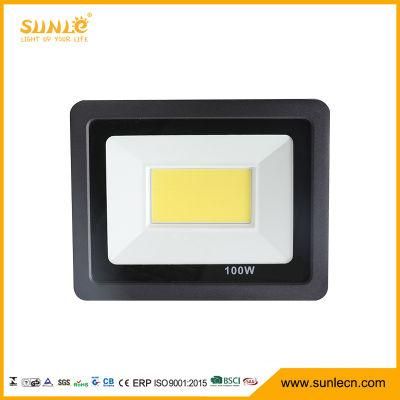 Aluminum Alloy Cool White 9000 Lumens LED Flood Light 100W
