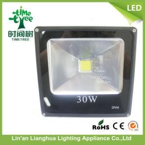 30W 50W 100W COB LED Floodlight