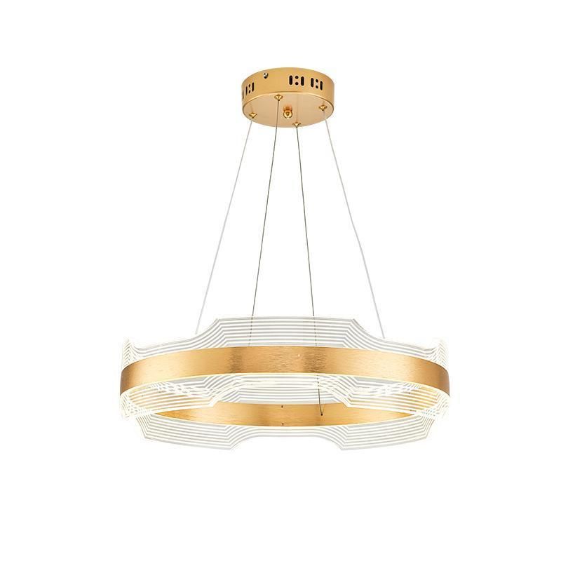 2022 Aluminium Profile Commercial Project Circle Pendant Light