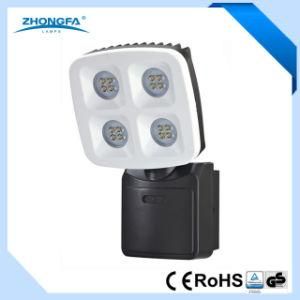 IP54 2500lm Ce RoHS GS LED Outdoor Light