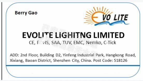 LED Ground Underground Lights for 12-24V Wide Constant Volitage Input